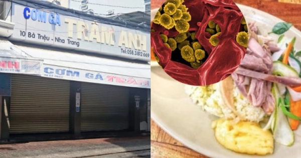 Khám phá sự nguy hiểm của vi khuẩn trong thực phẩm và cách sơ cứu khi ngộ độc