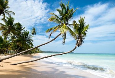 Discover the Hidden Gem: Unveiling the Caribbean's Best Beaches