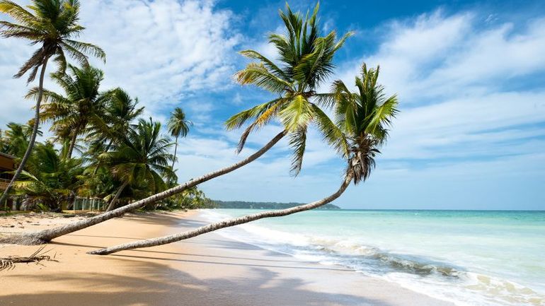 Discover the Hidden Gem: Unveiling the Caribbean's Best Beaches