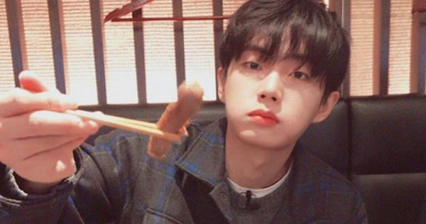 Top 3 Thực Phẩm Cung Cấp Protein Chất Lượng Cao Không Thể Bỏ Qua