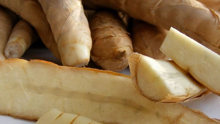 Khám phá củ dong - Siêu thực phẩm đa công dụng từ thiên nhiên