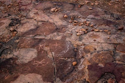 Fascinating Discovery: Ancient Rock Art Beside Dinosaur Tracks Unearthed in Brazil
