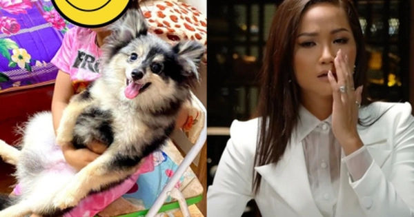 Bí mật đằng sau vụ việc đau lòng của H'Hen Niê: Rock và hành trình tạm biệt