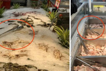 Hành trình của cây gắp đồ: Từ khu vực hàng tươi sống đến nguy cơ lây nhiễm chéo