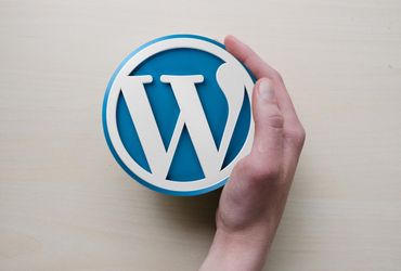 Những Khám Phá Về Các Rủi Ro Trung Bình trên WordPress