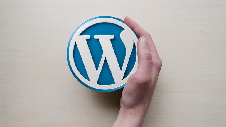 Những Khám Phá Về Các Rủi Ro Trung Bình trên WordPress