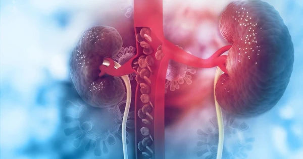 Ngộ độc Vitamin D ở Trẻ Em: Nguyên Nhân và Biến Chứng