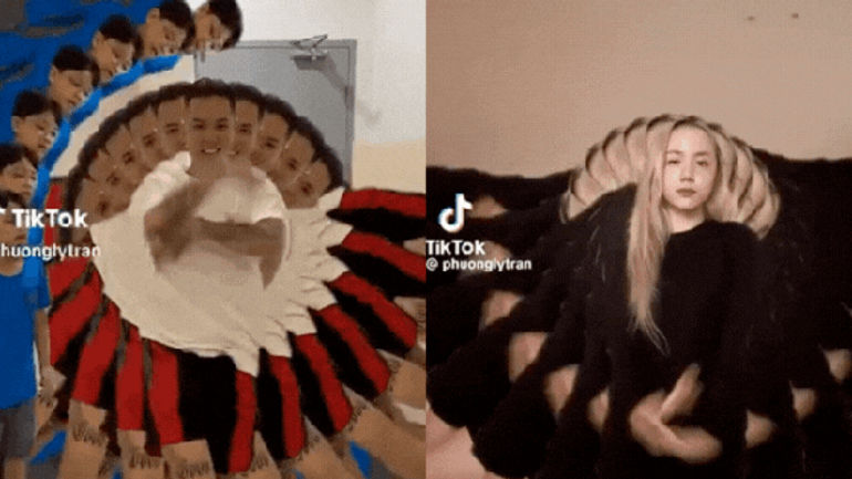 Những Điều Thú Vị Về Cặp Đôi Phương Ly và Andree Trên TikTok