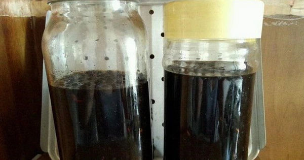 Kỳ diệu của sự kết hợp giữa đậu đen và giấm trắng