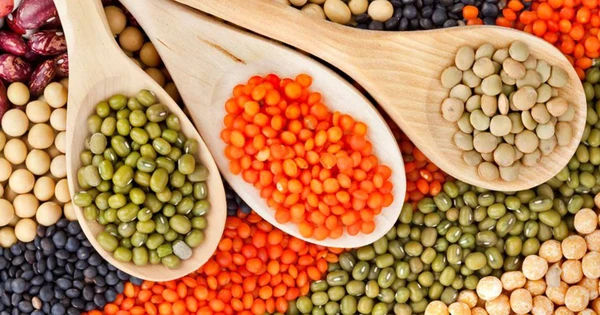 Đậu Nành - Thực Phẩm Giàu Đạm và Lợi Ích Vượt Trội Cho Sức Khỏe