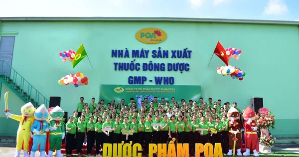 Sức Khỏe Vững Mạnh Với Dược Phẩm PQA: Hành Trình Kết Hợp Khoa Học và Đông Y