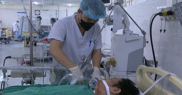 Nguy cơ từ thói quen ăn thịt lợn chết: Hành trình đầy kinh hoàng của người đàn ông ở Lào Cai