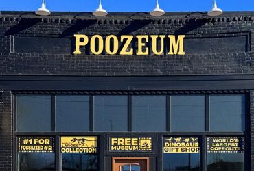 Curator Launches Museum Featuring Largest Collection of Fossilized Feces