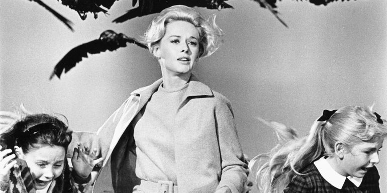 Tippi Hedren as Melanie Daniels running away from birds in The Birds