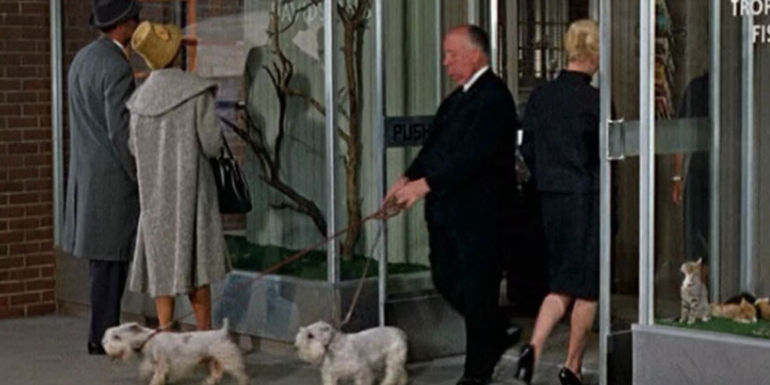 alfred hitchcock in the birds