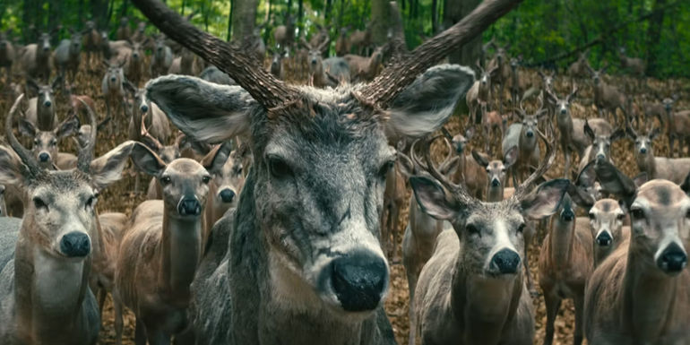 Leave the World Behind Giant Deer