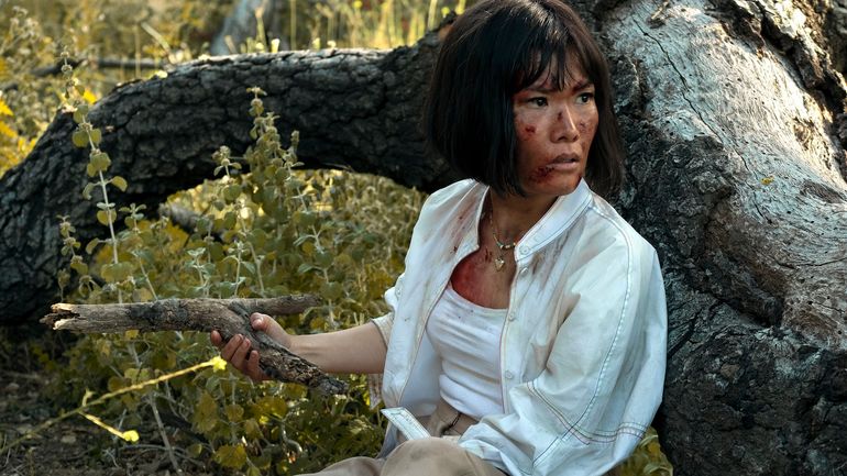 Beef: All You Need to Know for Season 2