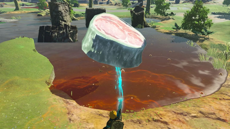 Mouthwatering Innovation: Zelda Player Constructs Frozen Meat-Powered Vehicle