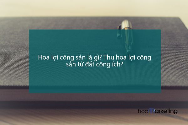 Hoa lợi công sản là gì? Thu hoa lợi công sản từ đất công ích?