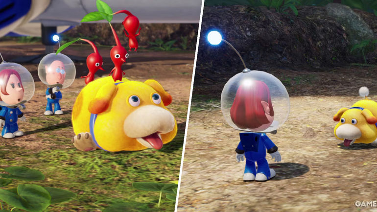 Unleash Oatchi's Full Potential: The Ultimate Skills You Must Teach in Pikmin 4