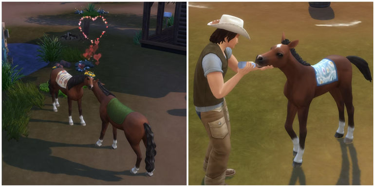 The Sims 4: Mastering the Art of Breeding - Unlock the Ultimate Foal Guide