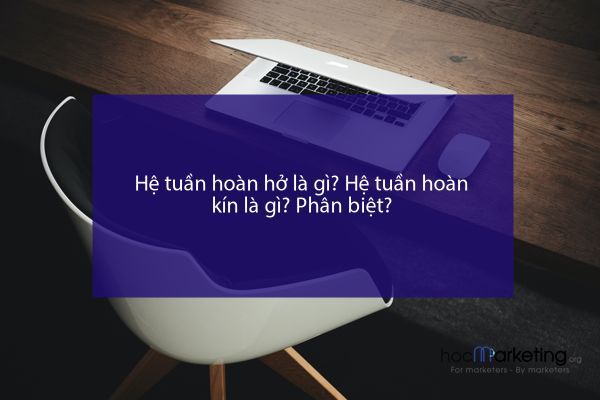 Hệ tuần hoàn hở là gì? Hệ tuần hoàn kín là gì? Phân biệt?