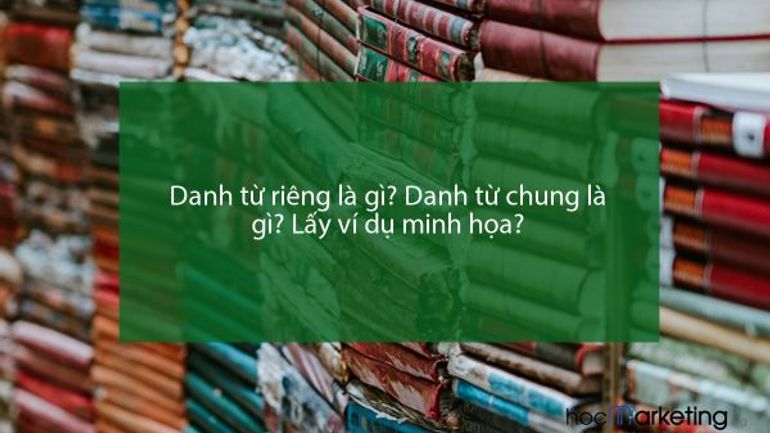 Danh từ riêng là gì? Danh từ chung là gì? Lấy ví dụ minh họa?