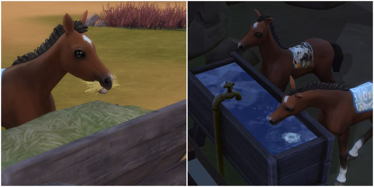 The Ultimate Guide to Maximizing Your Horse Ranch in The Sims 4