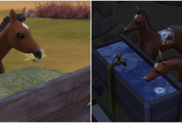 The Ultimate Guide to Maximizing Your Horse Ranch in The Sims 4