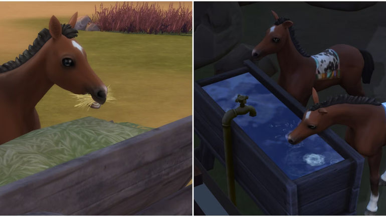 The Ultimate Guide to Maximizing Your Horse Ranch in The Sims 4