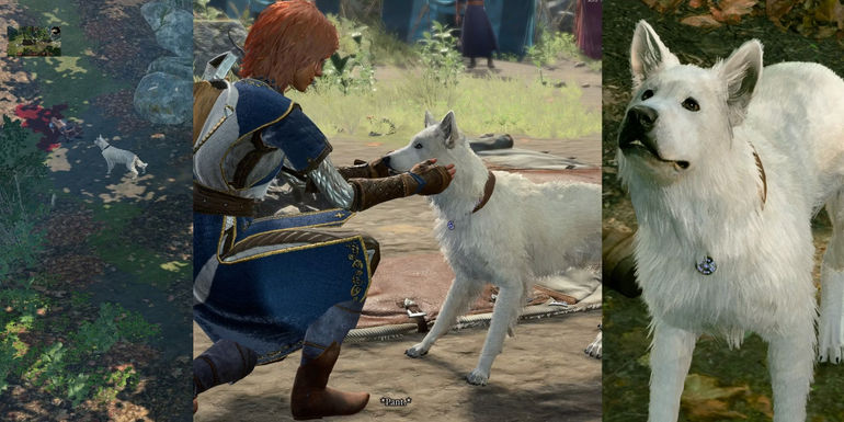 Baldur's Gate 3: Unleashing Scratch the Dog - Ultimate Guide