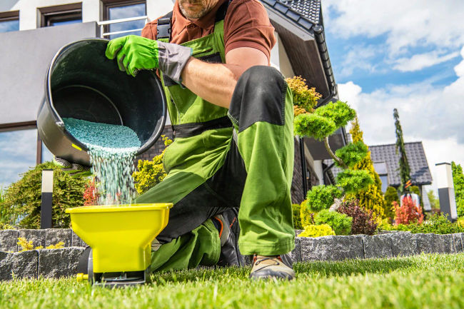 Unlock the Secrets to a Luscious Summer Lawn: A Comprehensive Guide to Fertilization