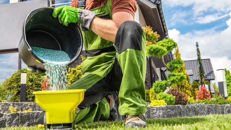 Unlock the Secrets to a Luscious Summer Lawn: A Comprehensive Guide to Fertilization