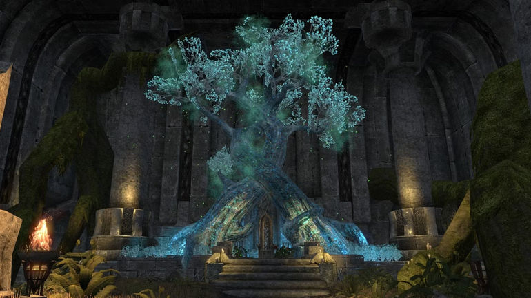 The Ultimate Guide to Valenwood's Essential Destinations in The Elder Scrolls