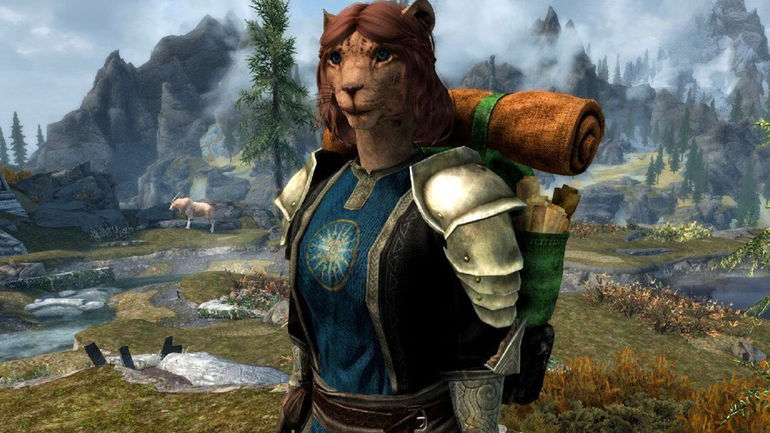 Revolutionary Skyrim Mod Introduces Cutting-Edge Gameplay Element