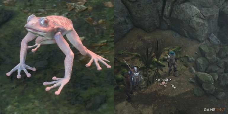 The Ultimate Guide to Maximizing Your Addled Frog Experience in Baldur's Gate 3