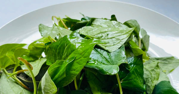 Rau mọc dại có tác dụng làm sạch thận và chữa trị nhiều bệnh: Bí quyết hiệu quả hỗ trợ sức khỏe