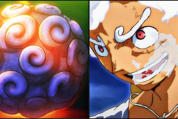 Luffy's Devil Fruit Hidden Facts Finally Revealed