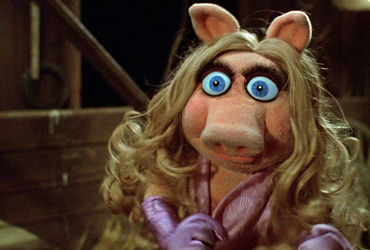 Exclusive: Revealing the Real Reason Behind My Mysterious Absence from The Muppets!