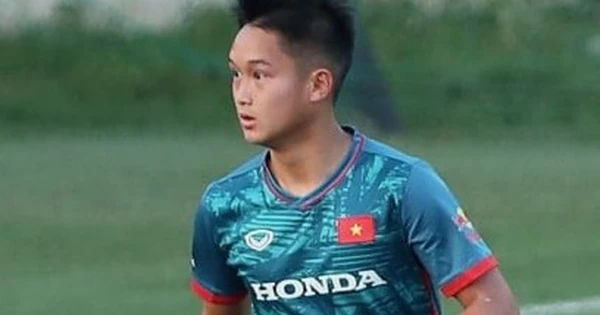 HLV Troussier tìm kiếm ngôi sao Việt kiều cho đội tuyển Việt Nam