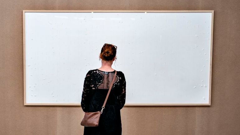 Artistic Scam Unveiled: Painter Fined $76K for Pulling off Surreal Blank Canvas Exhibition