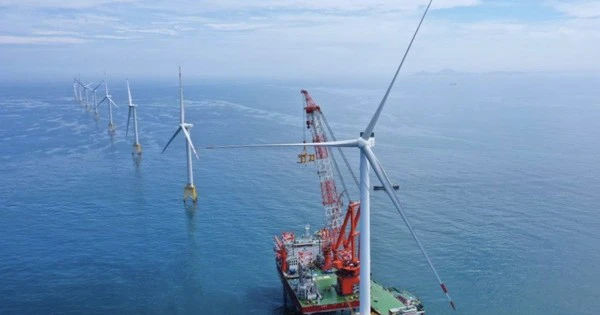 Đột phá kỷ lục: Trung Quốc sáng tạo hệ thống độc đáo nuôi cá bằng AI và điện từ gió hoàn toàn tự động