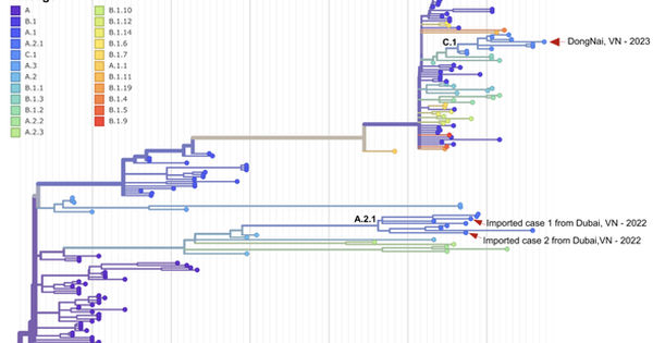 Phát hiện Sensational! Đã có đột phá trong giải mã gien của Ca đậu mùa khỉ tại TP HCM