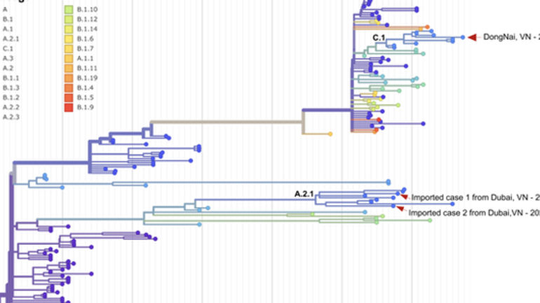Phát hiện Sensational! Đã có đột phá trong giải mã gien của Ca đậu mùa khỉ tại TP HCM