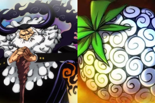 One Piece: What Does an Awakened Zoan Look Like?