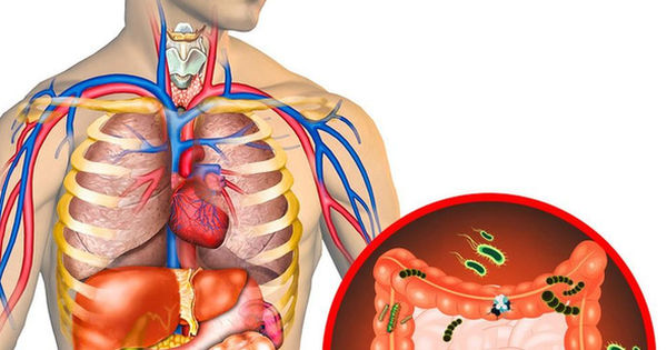 7 dấu hiệu bất thường cho thấy nội tạng bạn đang chứa lượng 'rác' khủng khiếp cần ngay lập tức thanh lọc