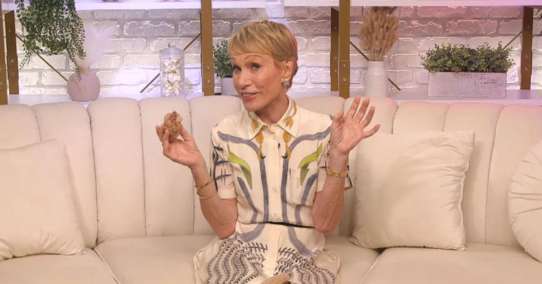 Barbara Corcoran's Bag Secrets Revealed: Surprising Items Inside!