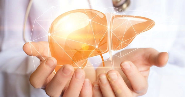 7 cách duy trì gan khỏe đáng chú ý: Bí quyết để bạn có một gan khỏe mạnh