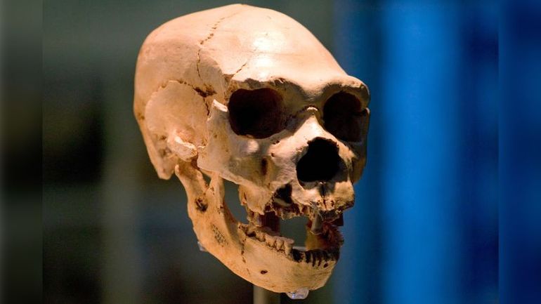 Breakthrough Discovery: Neanderthal Ancestry Mystery Finally Solved!