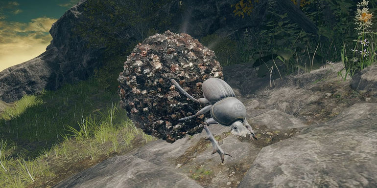 Gamer's Hilarious Encounter with Dung Beetles in Elden Ring Leaves Players in Stitches